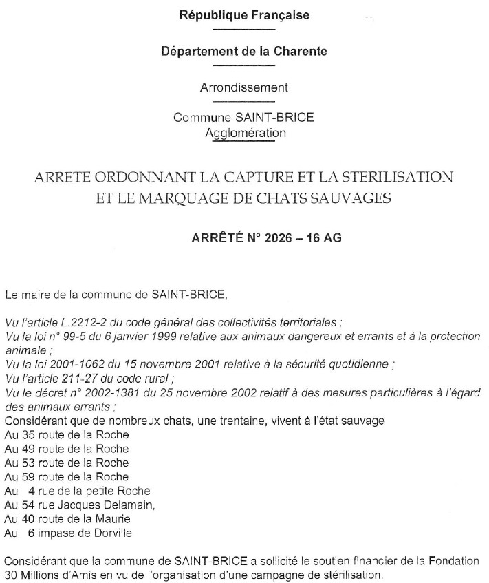 capture et stérilisation des chats errants